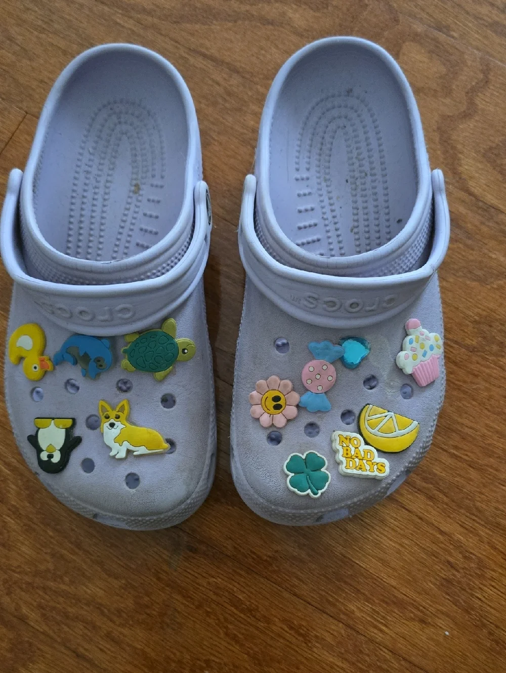 CROCS Kids' Classic Clogs in Light Lavender with Charms
